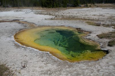 Yellowstone - Biscuit Basin (2697)