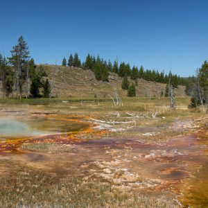 Yellowstone - Chain Lakes (2606)