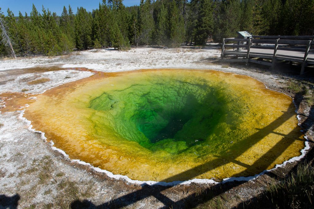 Yellowstone - Morning Glory Pool (2612)