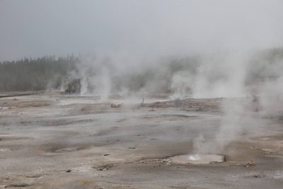 Yellowstone - Norris Geyser Basin (3567)