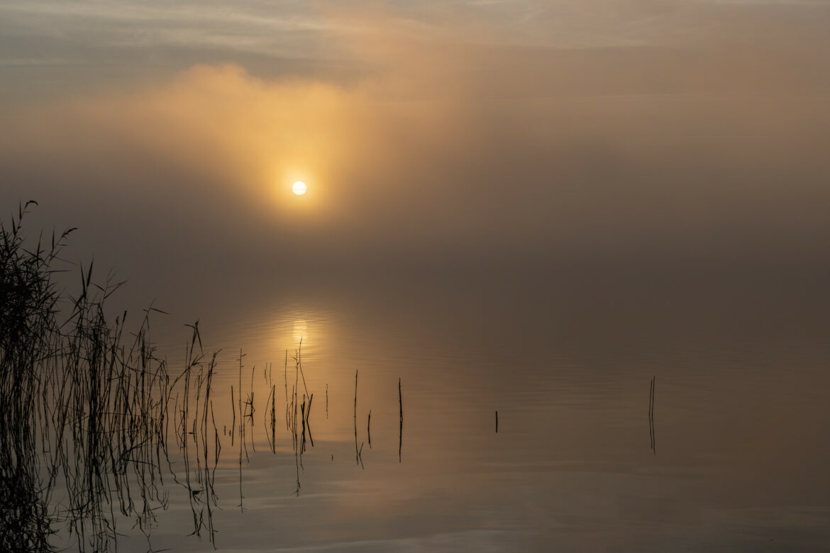 Sunrise in Fog (214)