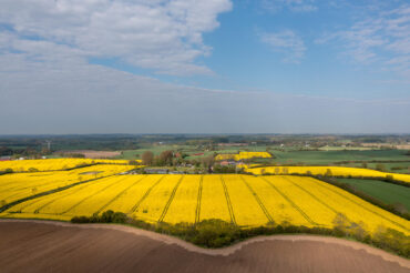 Akeby in the middle of rapeseed fields