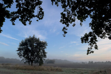 Sanfter Herbstnebel